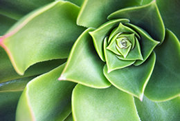 減輕職災勞工負擔，勞保局：終止勞動契約，仍可參加勞保