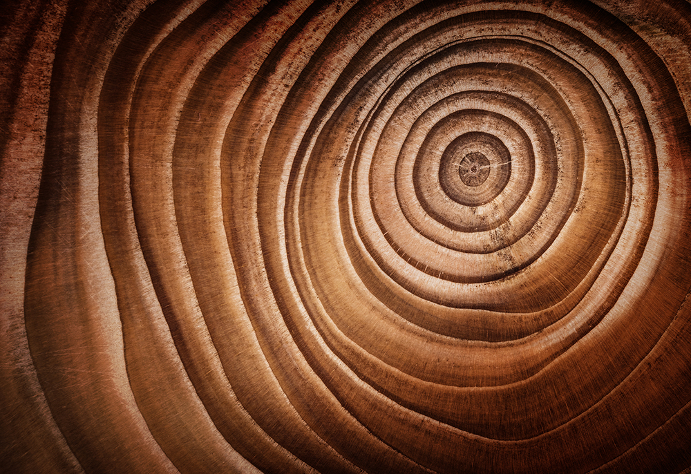 退稅支票不見了，該如何處理?