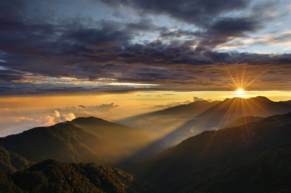 無論自益、他益或遺囑類型 土地信託有條件享優稅