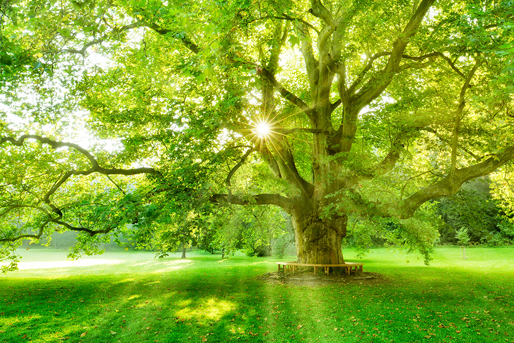 賣農地 有條件免房地合一稅