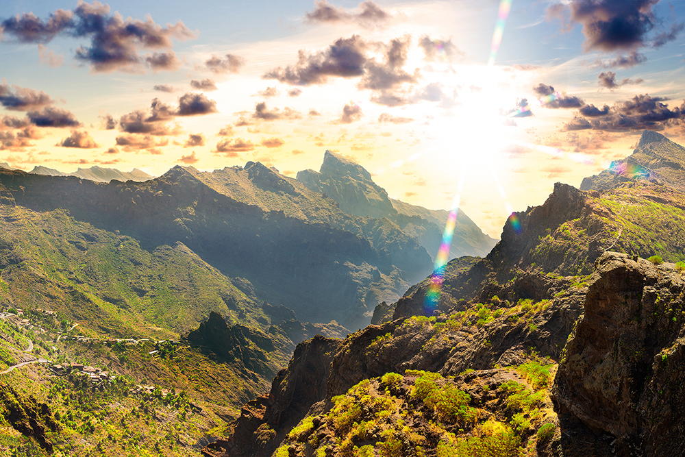 法拍移轉土地 免報土增稅